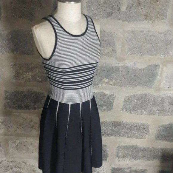NWOT! Parker Sz XS / 2 Nia Knit Striped Nylon Skater Mini Dress A line Hem - Picture 7 of 9